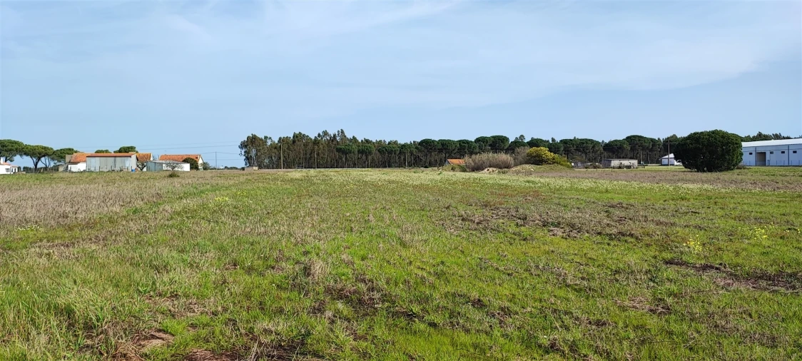Terreno para Venda em Canha Foto 13
