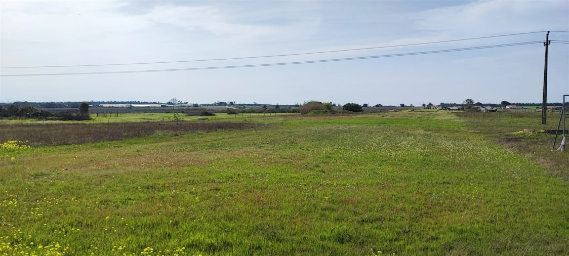 Terreno para Venda em Canha