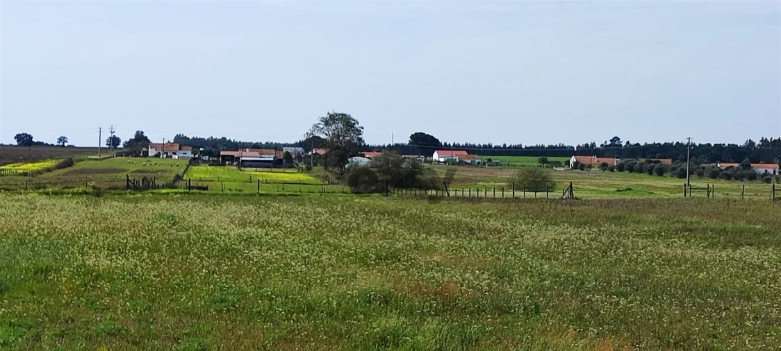 Terreno para Venda em Canha Foto 39