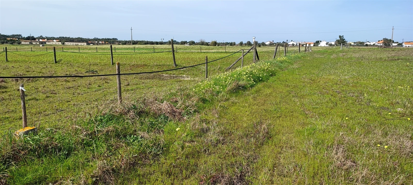 Terreno para Venda em Canha Foto 21