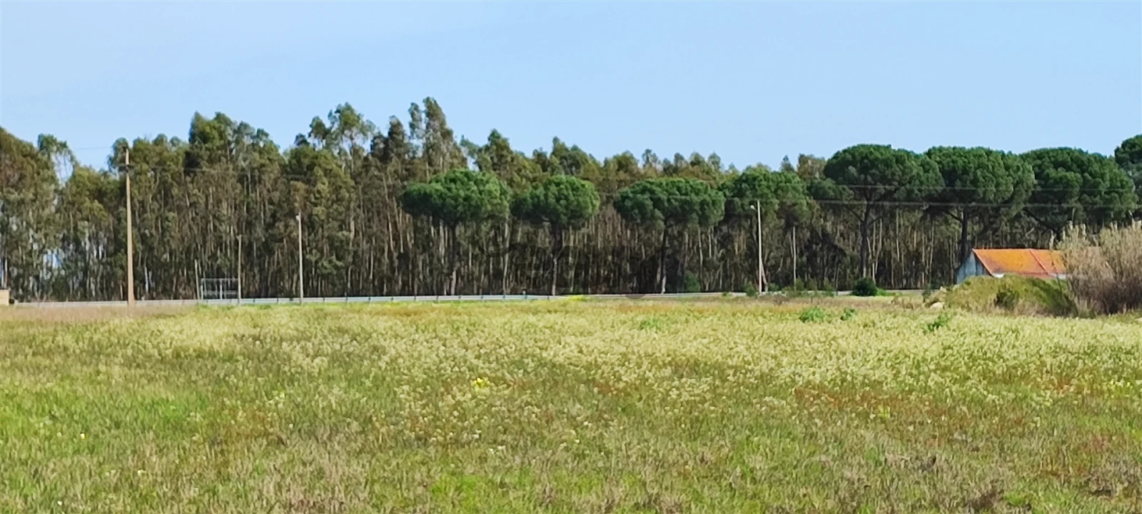 Terreno para Venda em Canha Foto 31