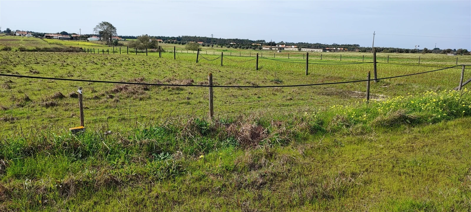 Terreno para Venda em Canha Foto 20