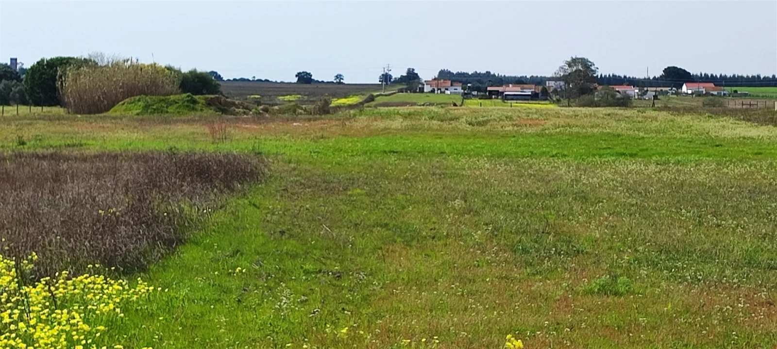 Terreno para Venda em Canha Foto 17