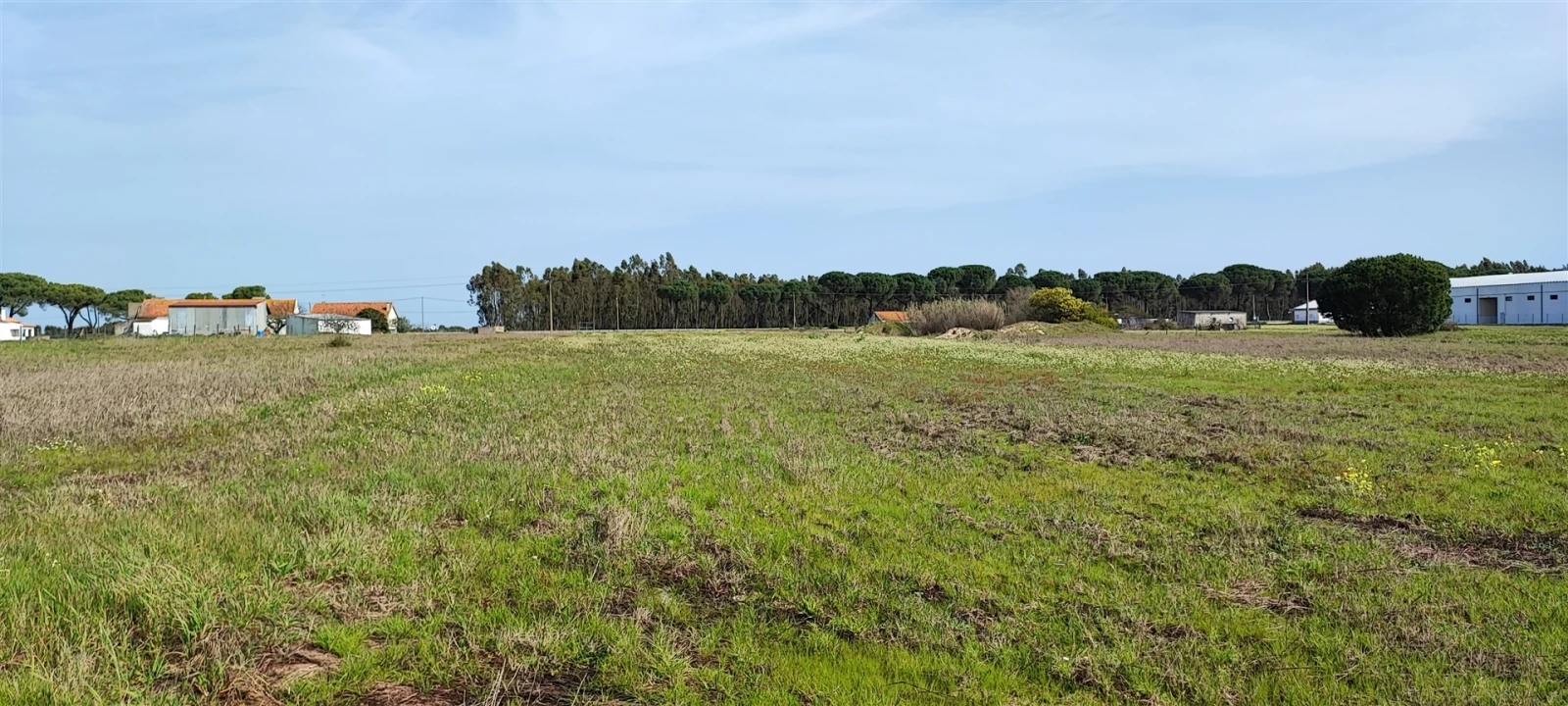Terreno para Venda em Canha Foto 13