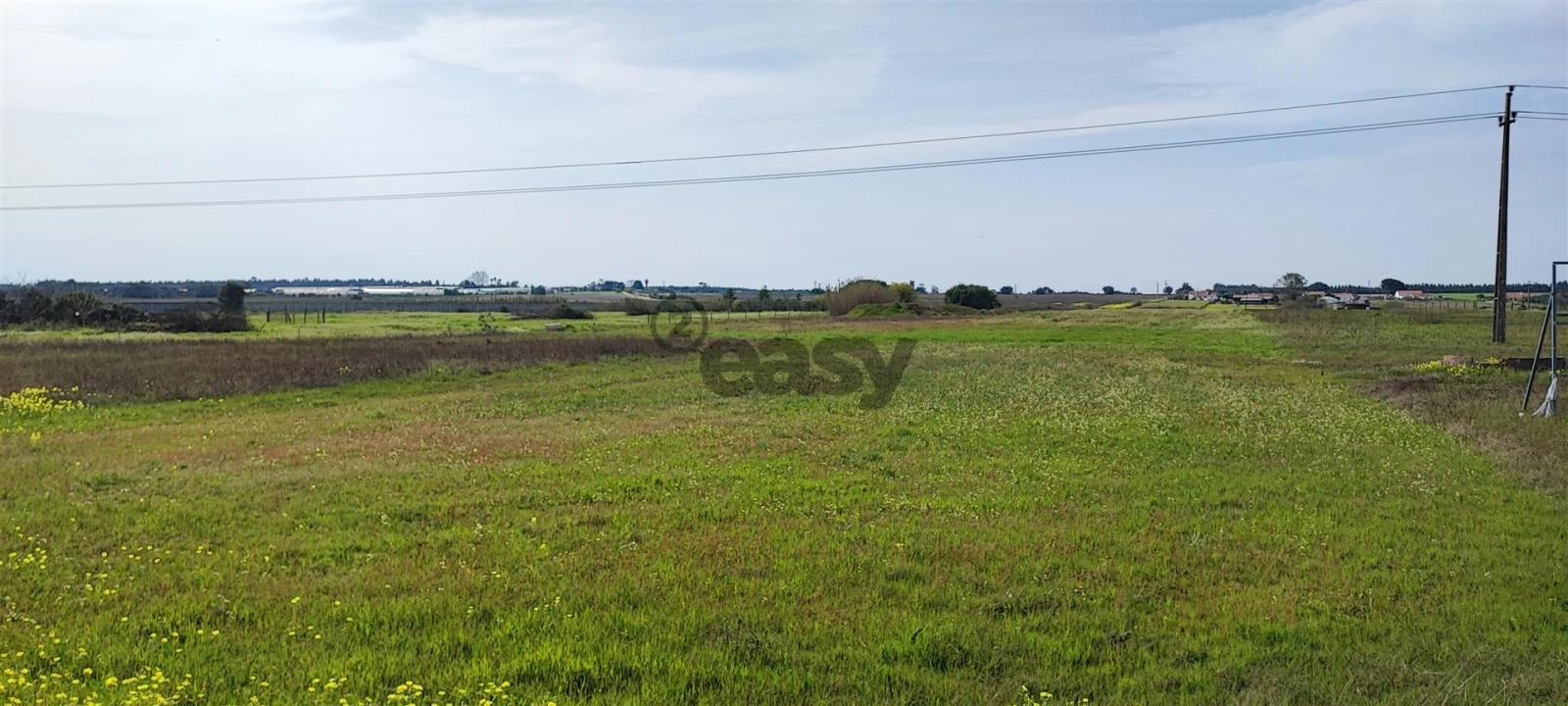 Terreno para Venda em Canha Foto 22