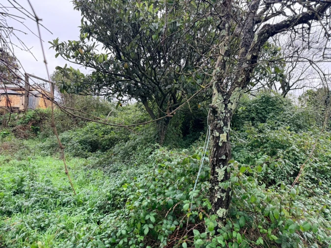 Moradia T3 para Venda em Pedrouços Foto 23