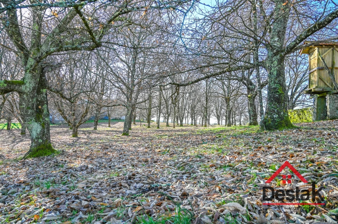 Moradia T6 para Venda em Satão Foto 15