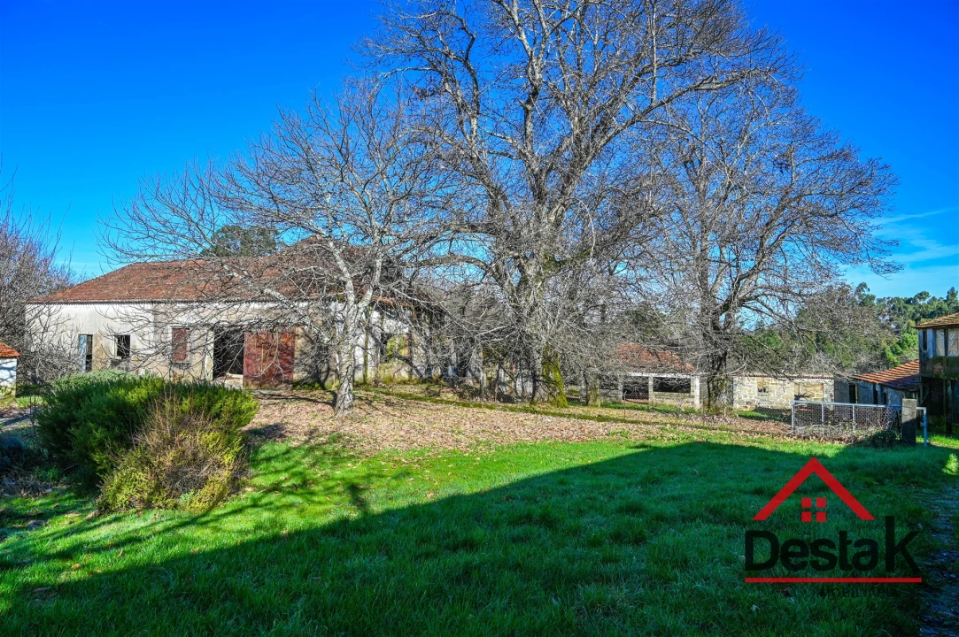 Moradia T6 para Venda em Satão Foto 23