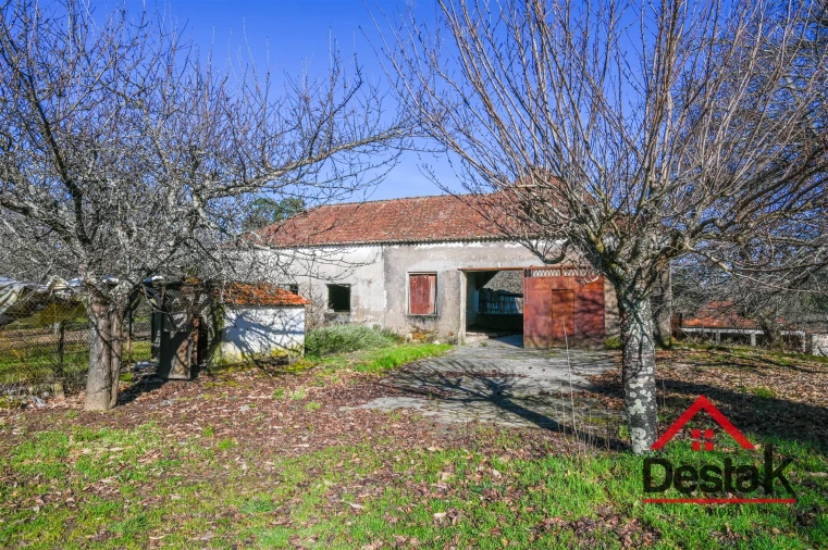 Moradia T6 para Venda em Satão Foto 30