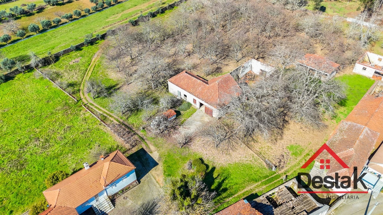 Moradia T6 para Venda em Satão Foto 4