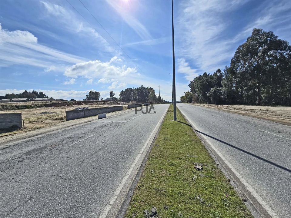 Terreno para Arrendamento em Nelas Foto 4