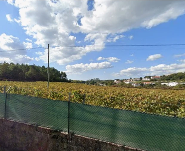 Quinta T6 para Venda em Avidos e Lagoa Foto 3