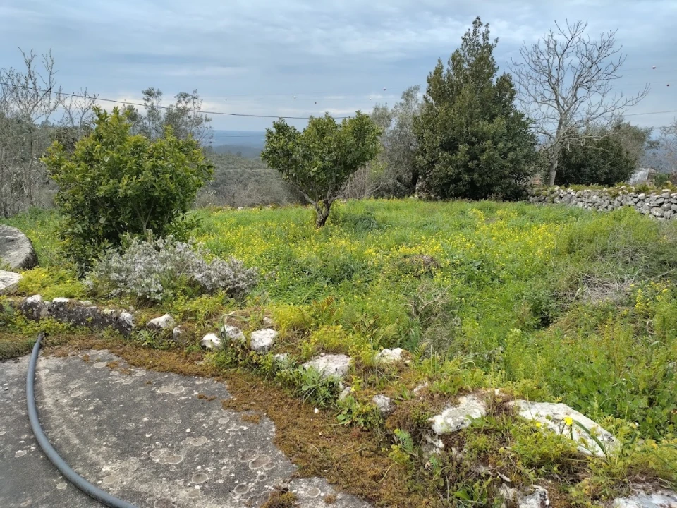 Moradia T2 para Venda em Redinha Foto 8