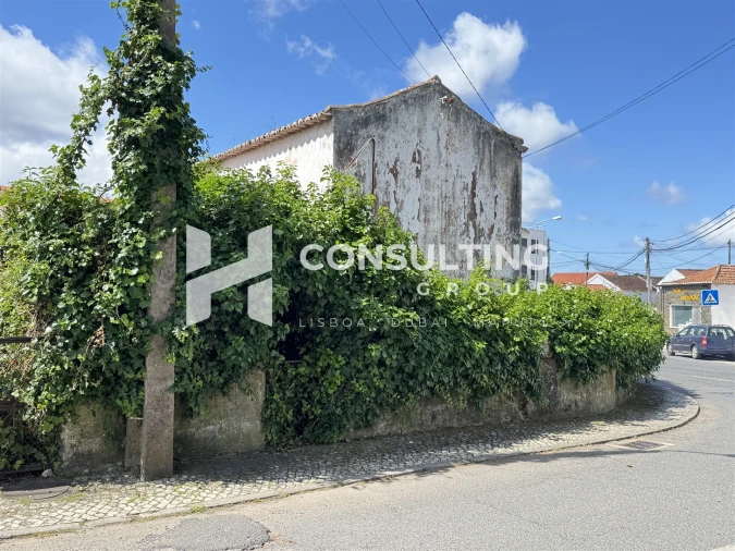 Terreno para Venda em Santa Maria e São Miguel, São Martinho, São Pedro Penaferrim Foto 25