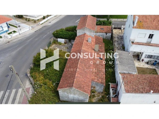 Terreno para Venda em Santa Maria e São Miguel, São Martinho, São Pedro Penaferrim Foto 3