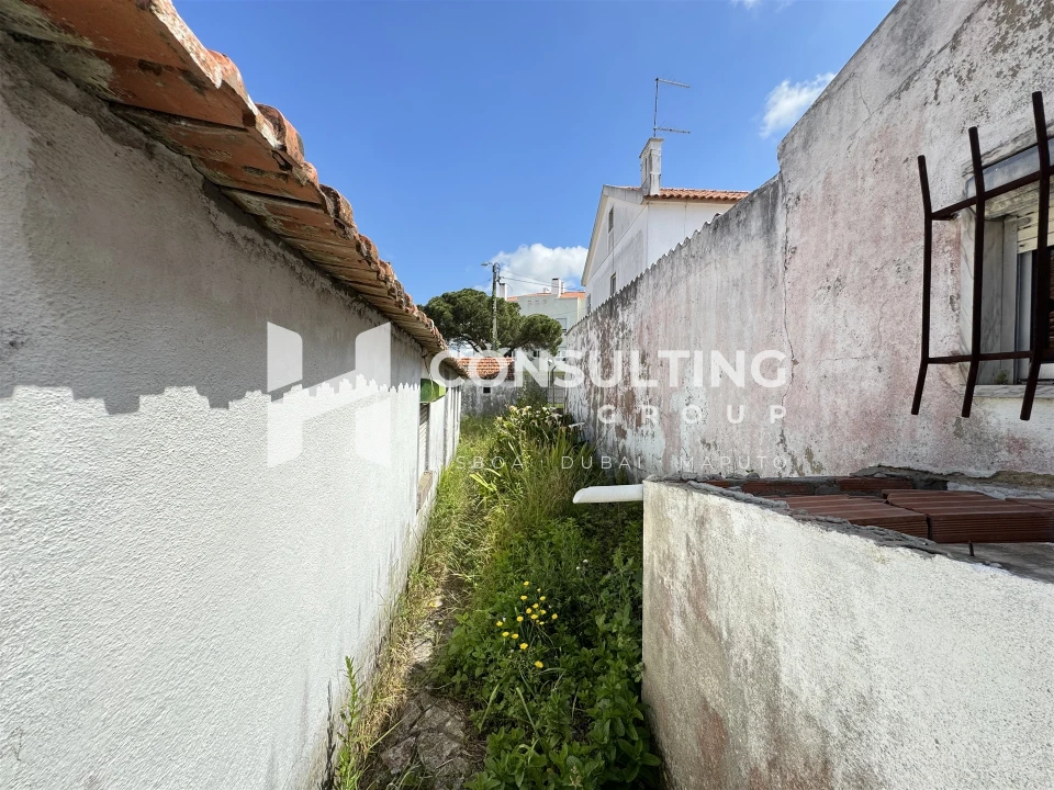 Terreno para Venda em Santa Maria e São Miguel, São Martinho, São Pedro Penaferrim Foto 31