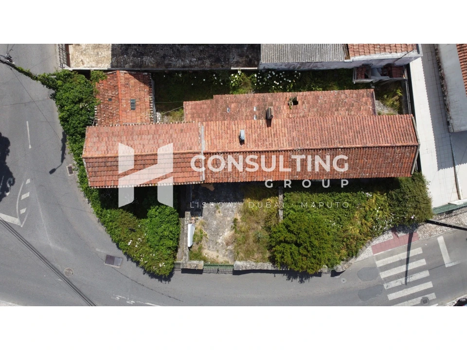 Terreno para Venda em Santa Maria e São Miguel, São Martinho, São Pedro Penaferrim Foto 1