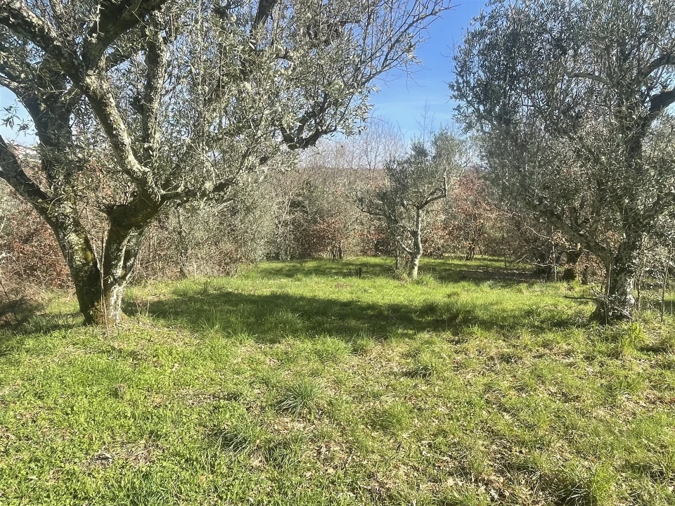 Terreno para Venda em Rio Torto e Lagarinhos Foto 1