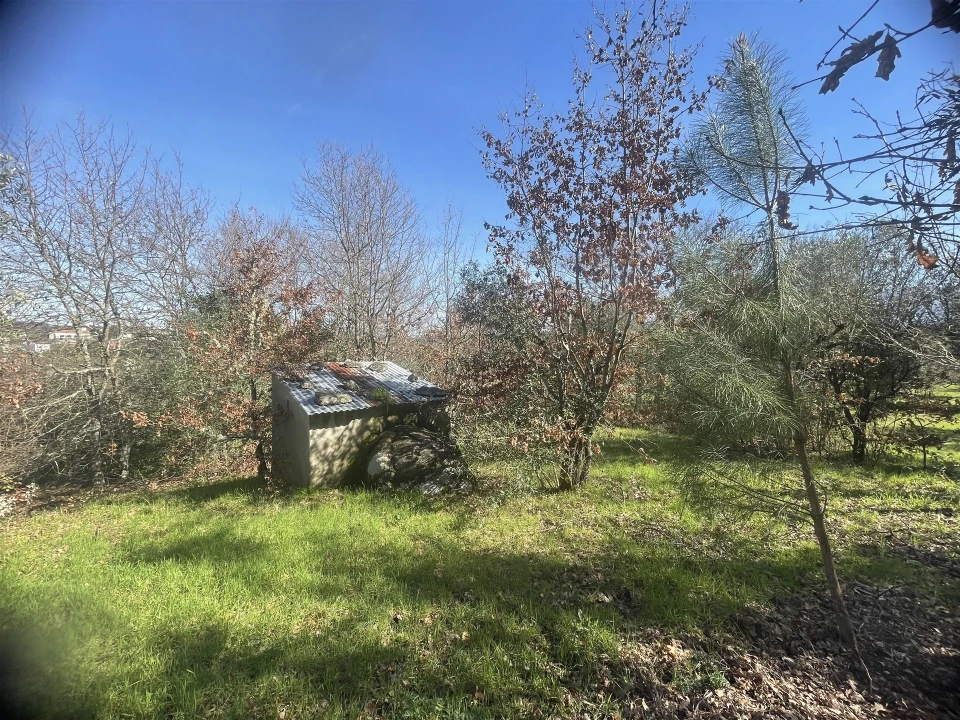 Terreno para Venda em Rio Torto e Lagarinhos Foto 15