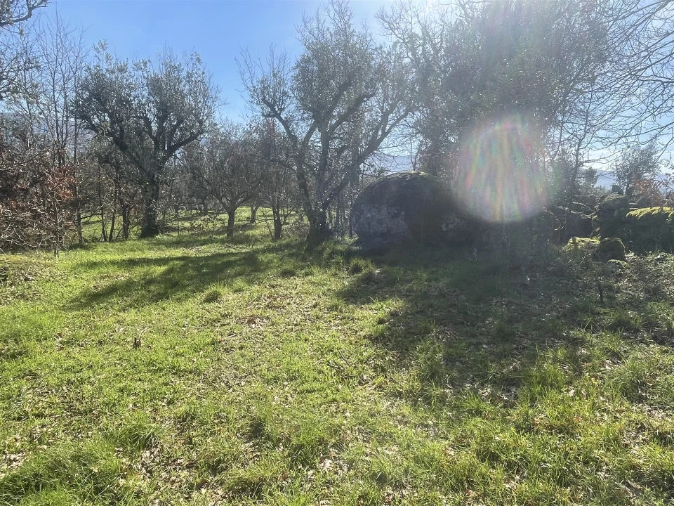 Terreno para Venda em Rio Torto e Lagarinhos Foto 12