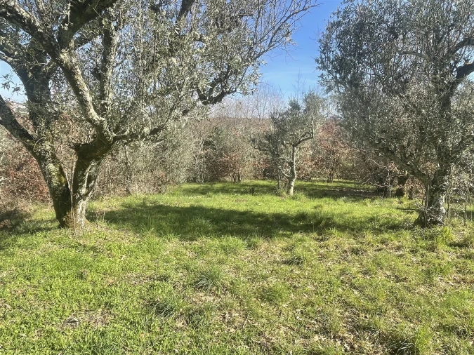 Terreno para Venda em Rio Torto e Lagarinhos Foto 1