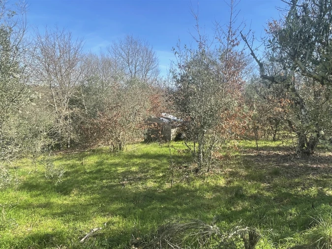 Terreno para Venda em Rio Torto e Lagarinhos Foto 9