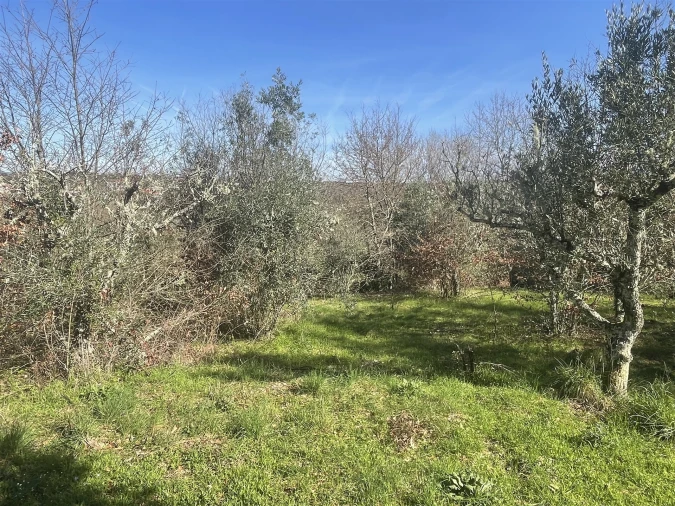 Terreno para Venda em Rio Torto e Lagarinhos Foto 8