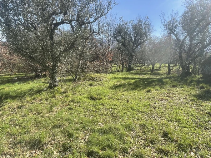 Terreno para Venda em Rio Torto e Lagarinhos Foto 6