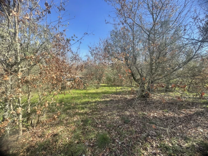 Terreno para Venda em Rio Torto e Lagarinhos Foto 10