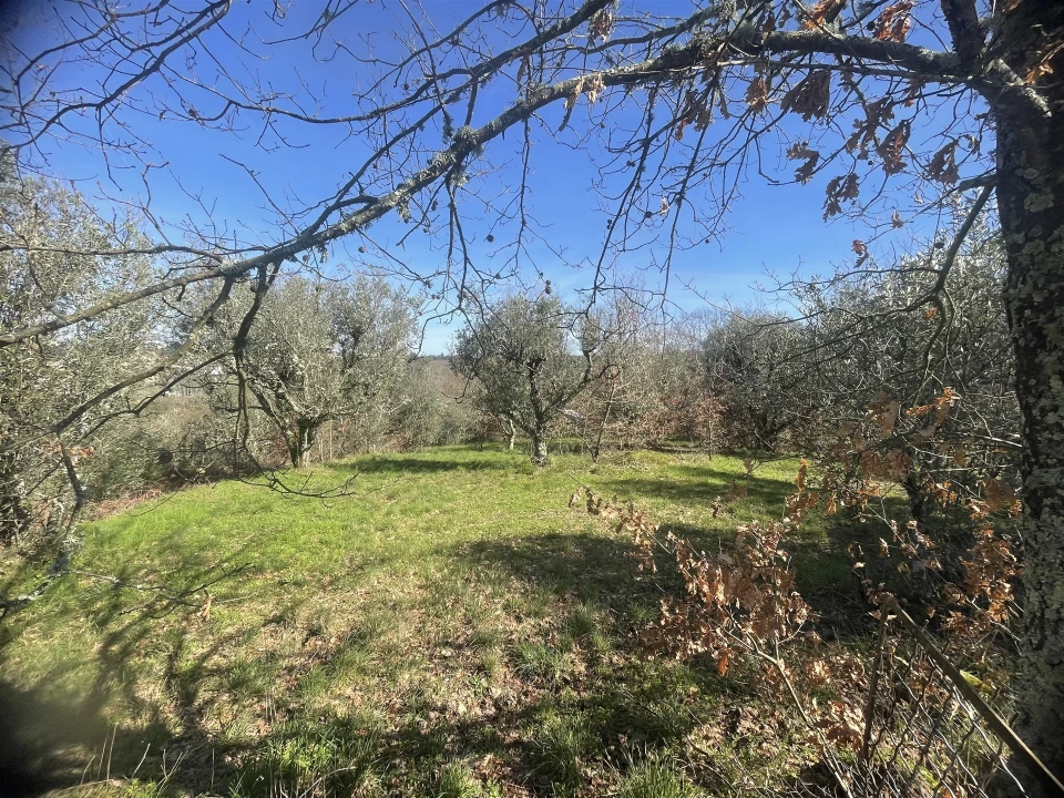 Terreno para Venda em Rio Torto e Lagarinhos Foto 13