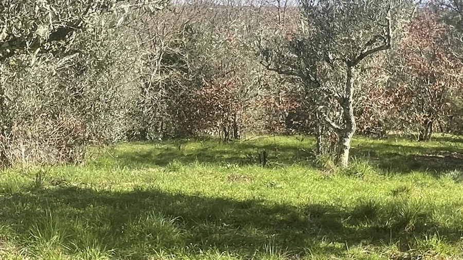 Terreno para Venda em Rio Torto e Lagarinhos