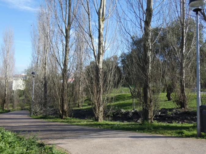 Apartamento T2 para Venda em Águas Livres Foto 15