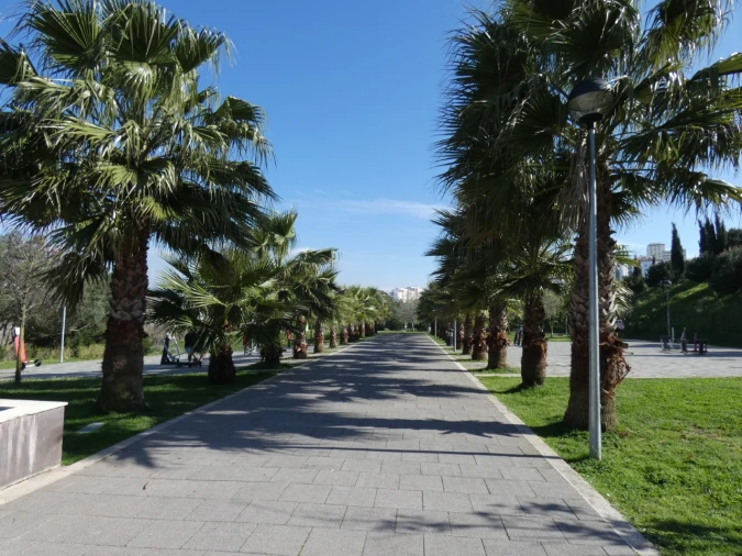 Apartamento T2 para Venda em Águas Livres Foto 22