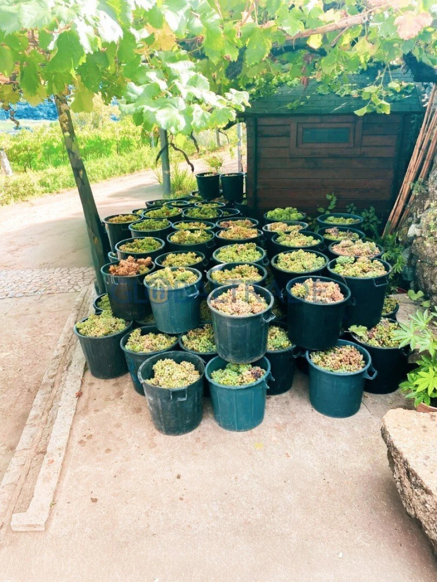 Quinta T1 para Venda em Valadares Foto 20