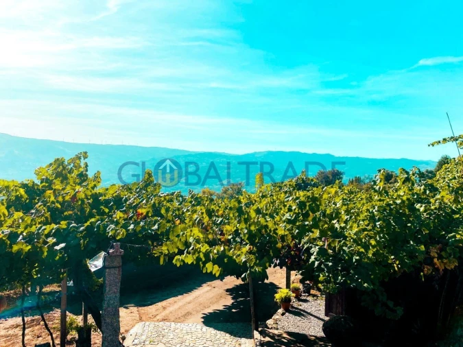 Quinta T1 para Venda em Valadares Foto 16