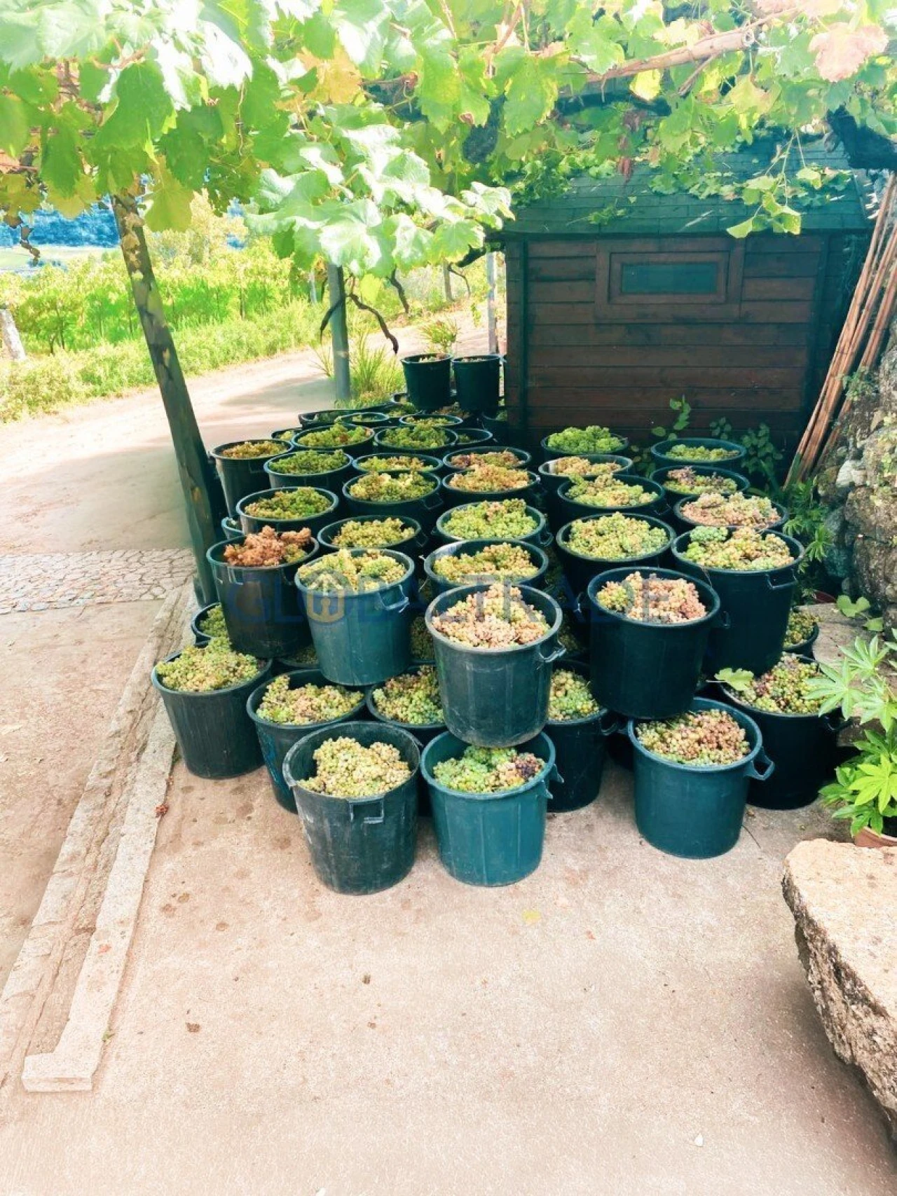 Quinta T1 para Venda em Valadares Foto 20