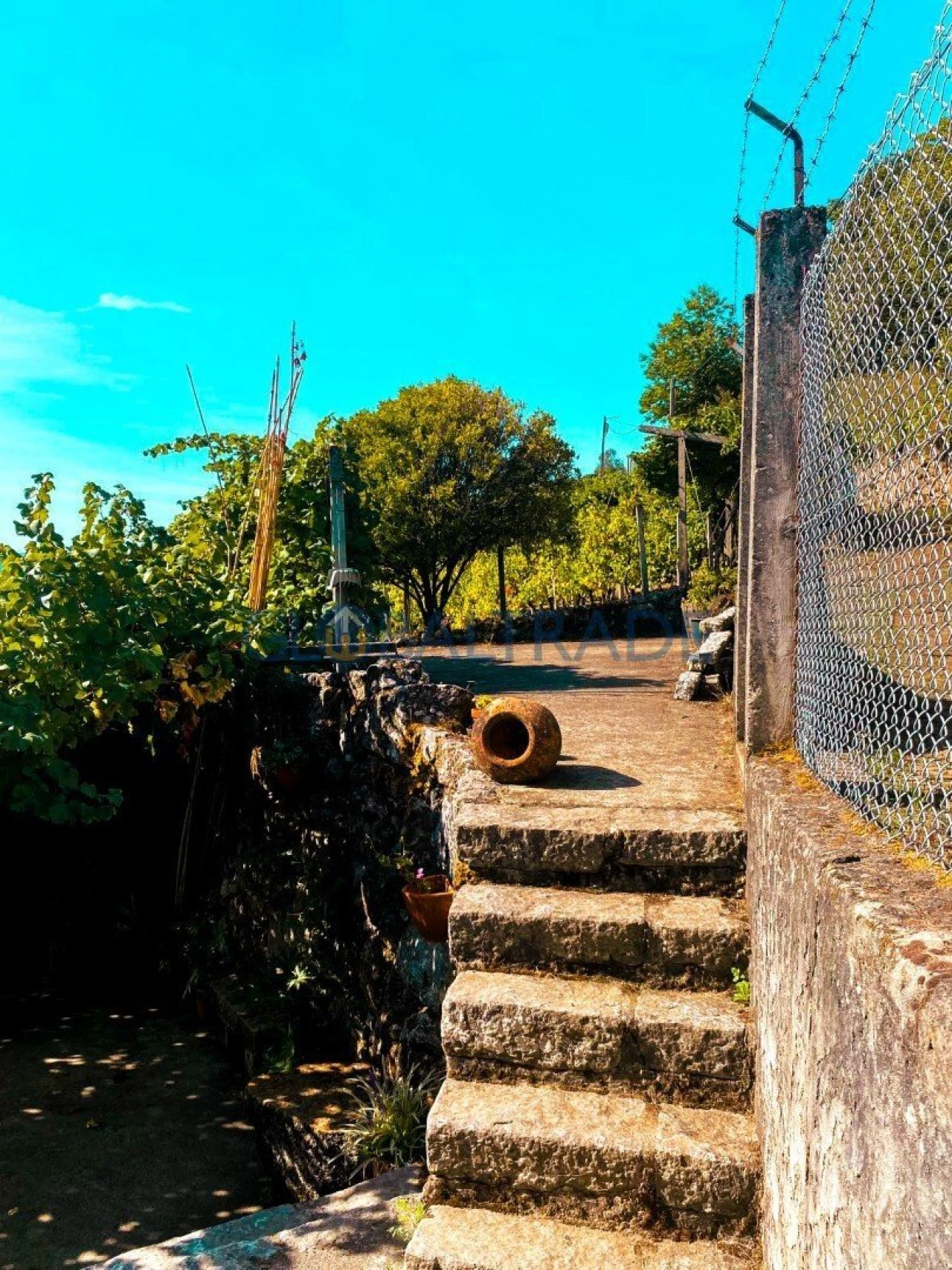 Quinta T1 para Venda em Valadares Foto 14