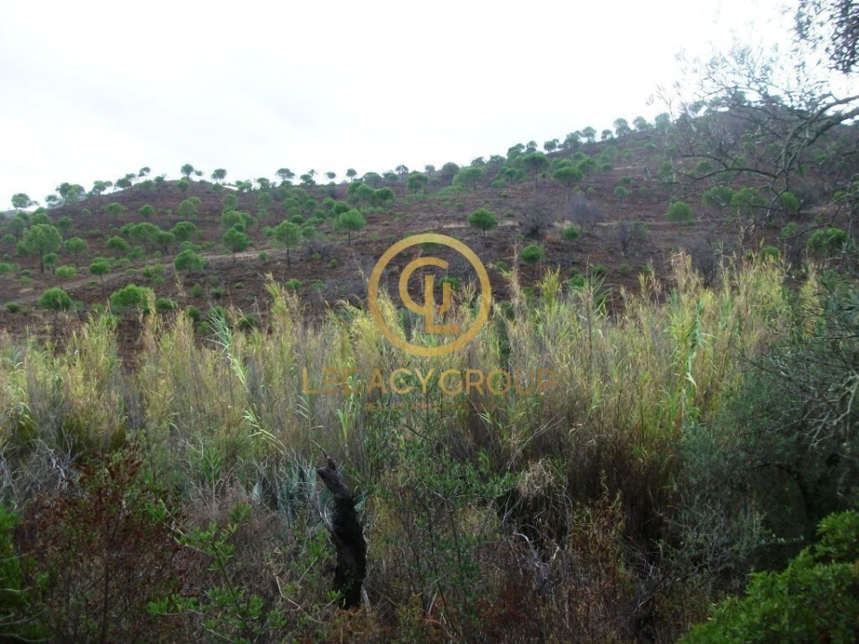 Terreno para Venda em Alcoutim e Pereiro Foto 5