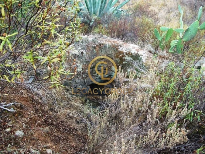 Terreno para Venda em Alcoutim e Pereiro Foto 9