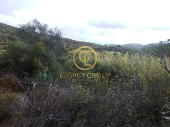 Terreno para Venda em Alcoutim e Pereiro Foto 7