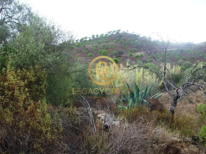 Terreno para Venda em Alcoutim e Pereiro Foto 1