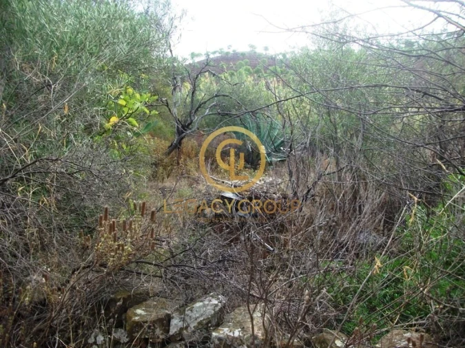 Terreno para Venda em Alcoutim e Pereiro Foto 8