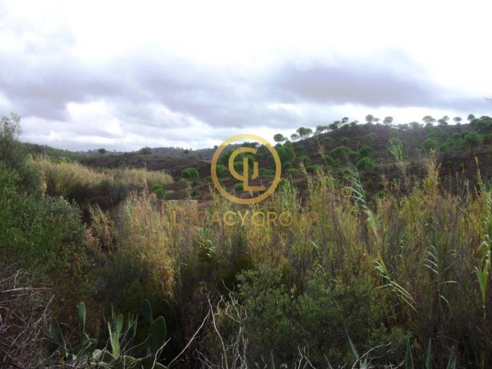 Terreno para Venda em Alcoutim e Pereiro Foto 4