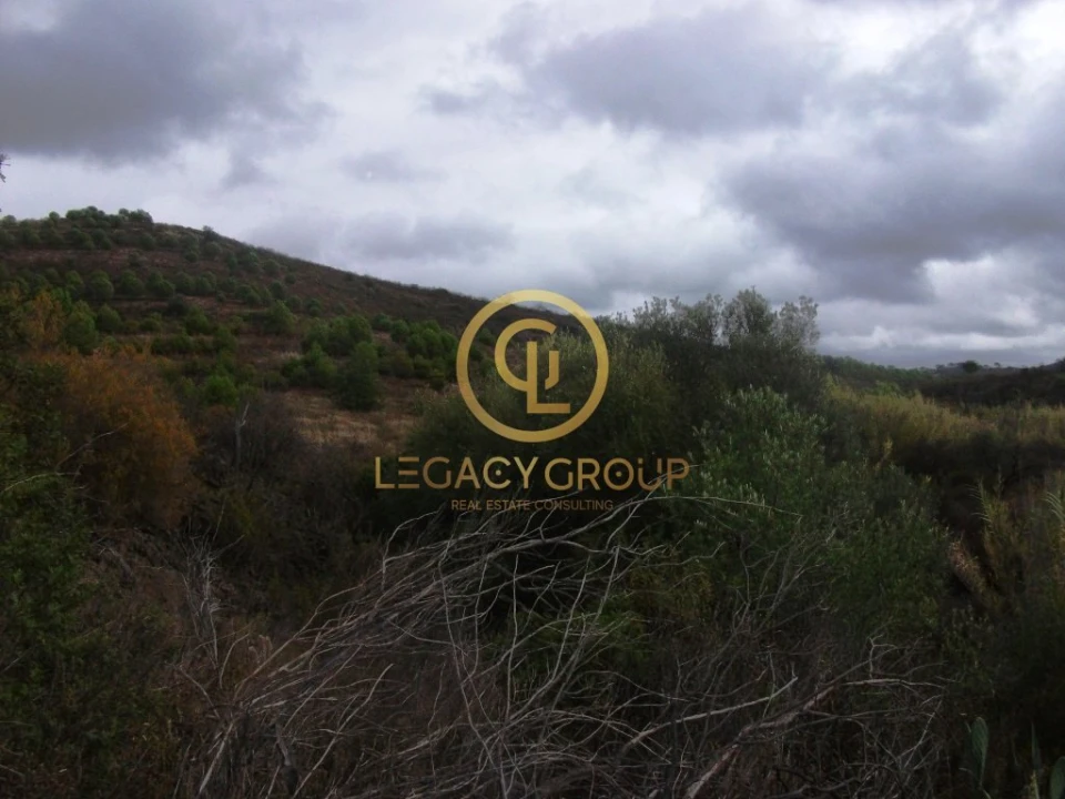 Terreno para Venda em Alcoutim e Pereiro Foto 6