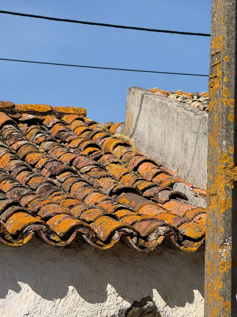 Moradia T1 para Venda em Alcoutim e Pereiro Foto 5