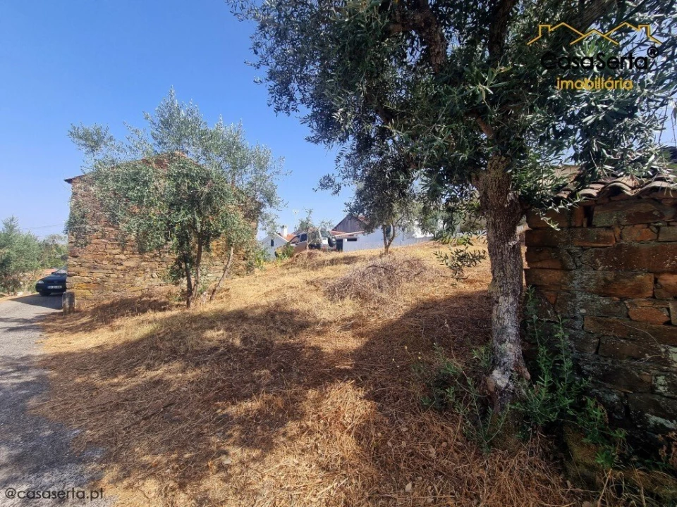 Quinta T3 para Venda em Sobreira Formosa e Alvito da Beira Foto 3