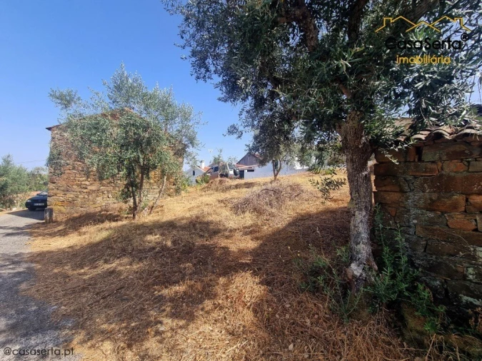 Quinta T3 para Venda em Sobreira Formosa e Alvito da Beira Foto 3