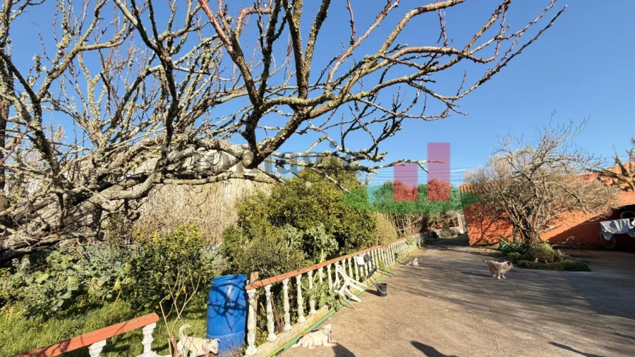 Moradia T3 para Venda em Tornada e Salir do Porto Foto 48