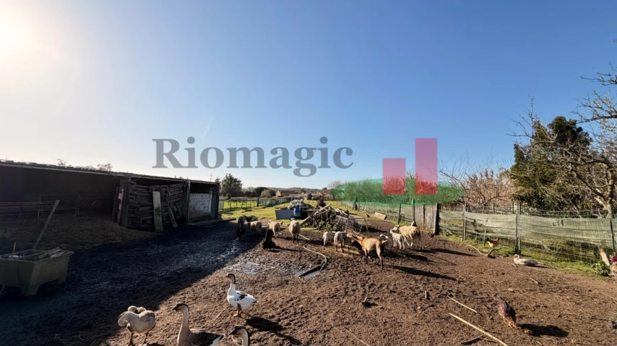 Moradia T3 para Venda em Tornada e Salir do Porto Foto 50