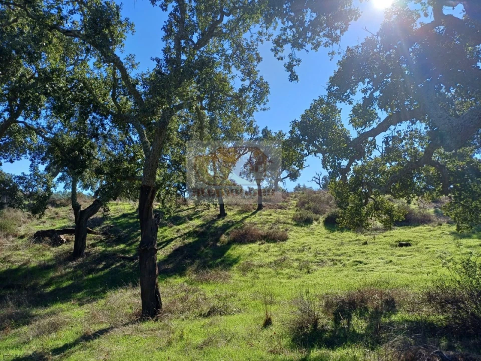 Terreno Agricola ou Rústico para Venda em São Francisco da Serra Foto 5